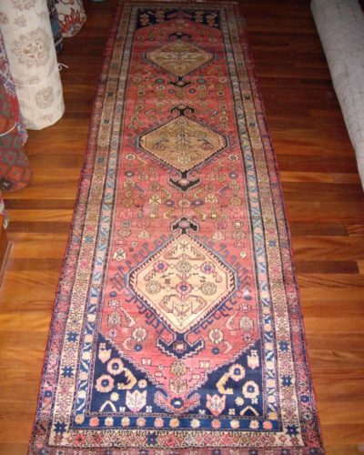 Old Perian Luri runner